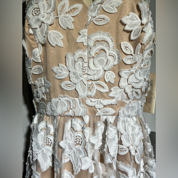 Eliza J Embroidered Mesh Fit & Flare Dress | 12 NWT - Picture 6 of 13